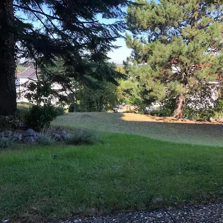 Apartment Charmante Wohnung, Mit Sauna Und Garten, Toplage!
